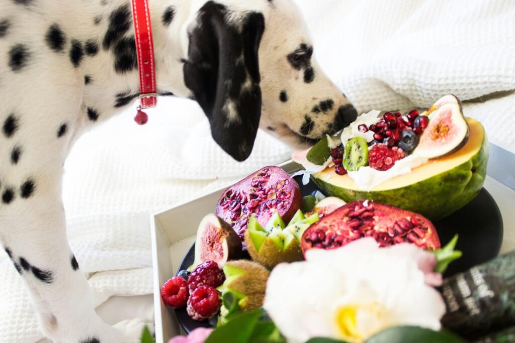 Raw vs. Cooked Diets for Pets: Which Is Healthier?