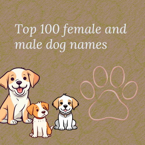 The Most Adorable Puppies and Best Dog Names: 100+ Name Ideas for Your New Furry Friend